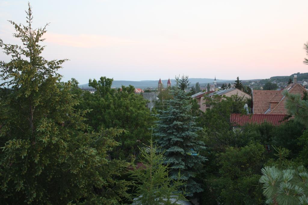 Barcza Vendeghaz Hotel Balatonfured Ngoại thất bức ảnh