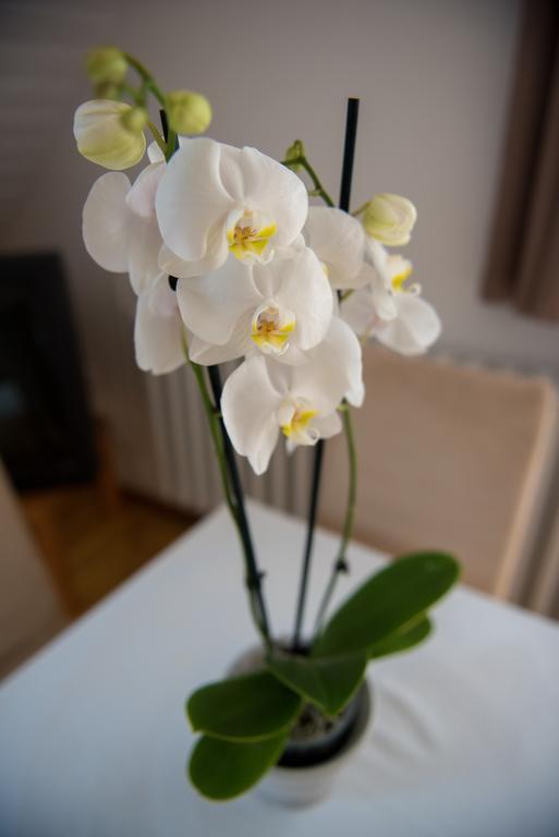 Barcza Vendeghaz Hotel Balatonfured Ngoại thất bức ảnh